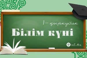 Knowledge day