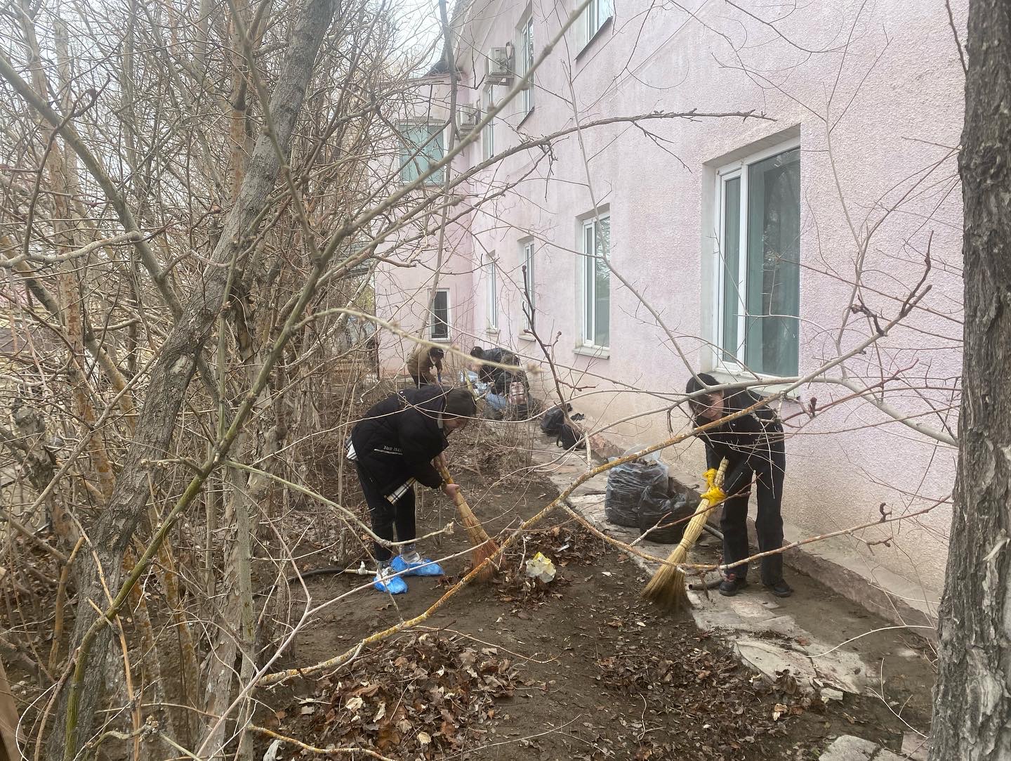 Облыстық сенбілік.